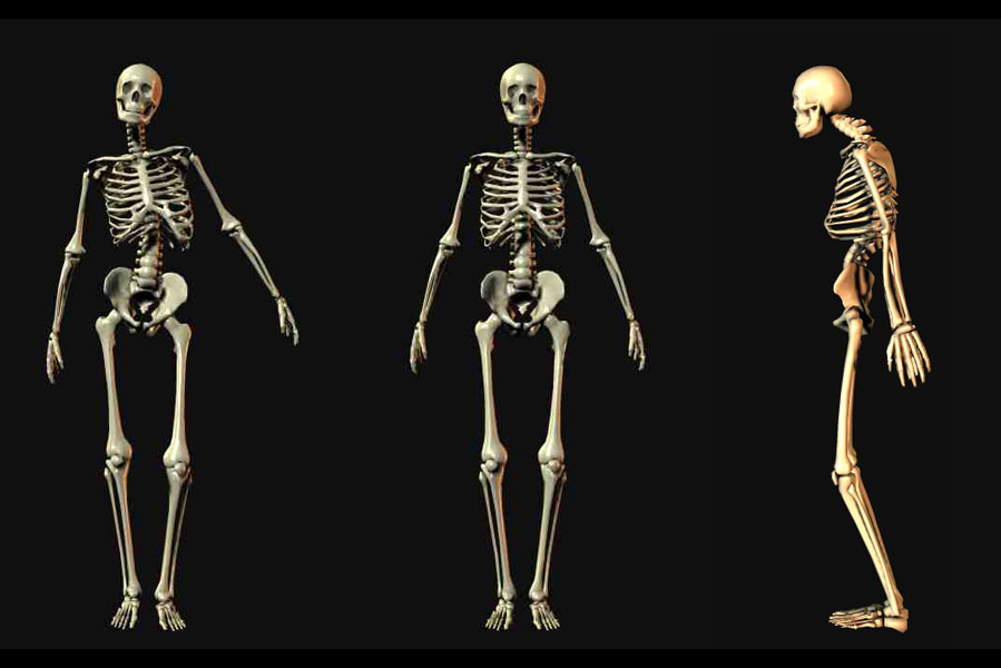 постурология