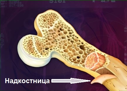 кісткова дисфункція
